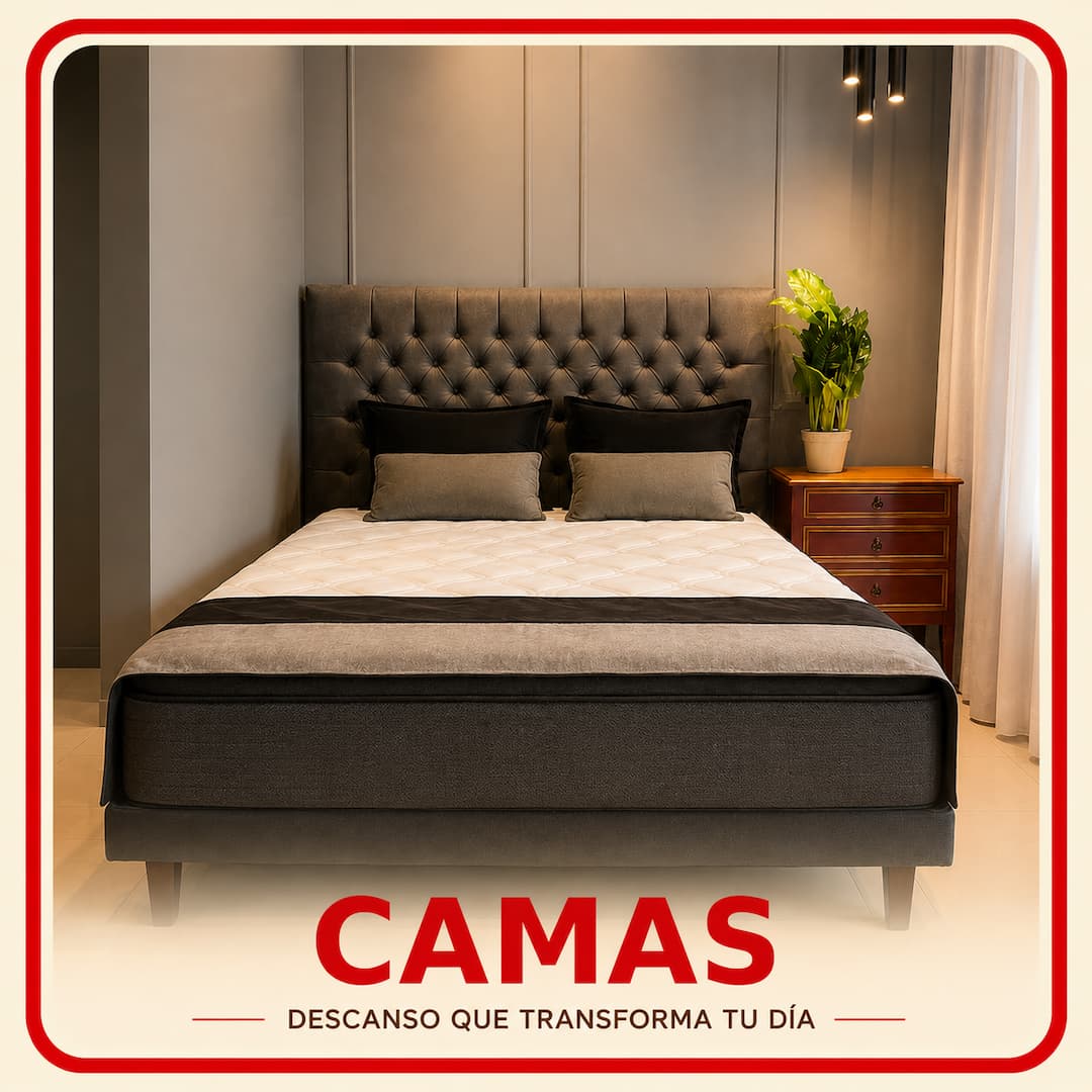 CAMAS_CAT_2026
